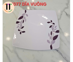 DĨA VUÔNG 10.5 MELAMINE
